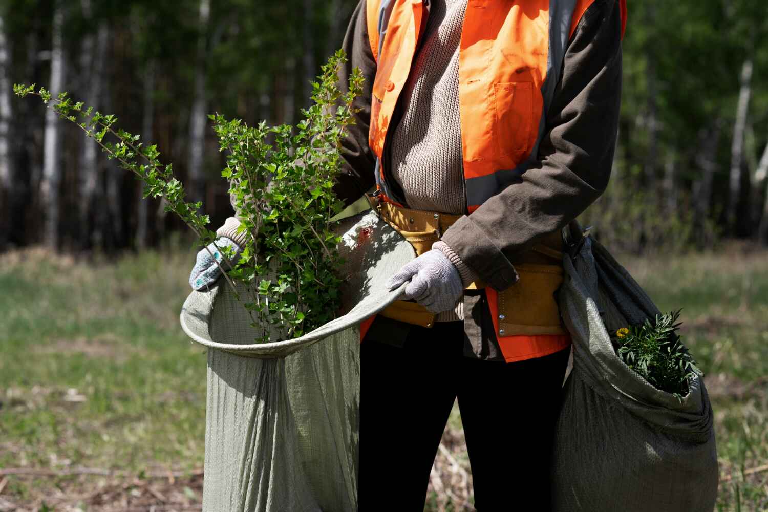 Best Tree Removal Near Me  in Gerald, MO